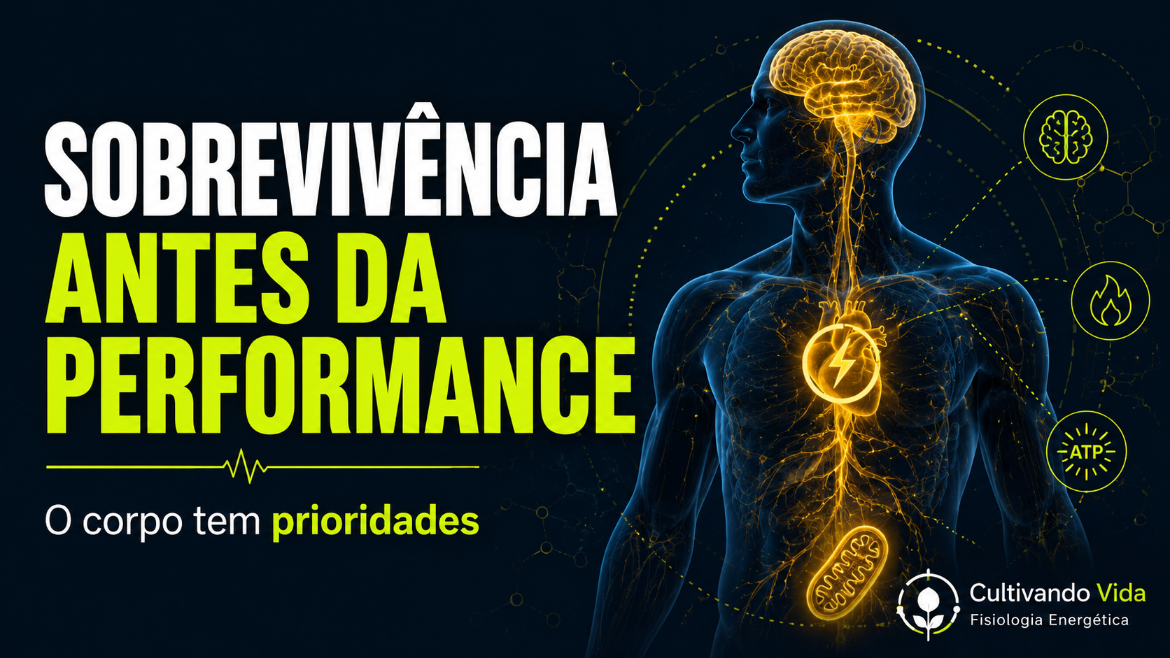 Homeostase e alostase mostrando que o corpo prioriza sobrevivência antes da performance