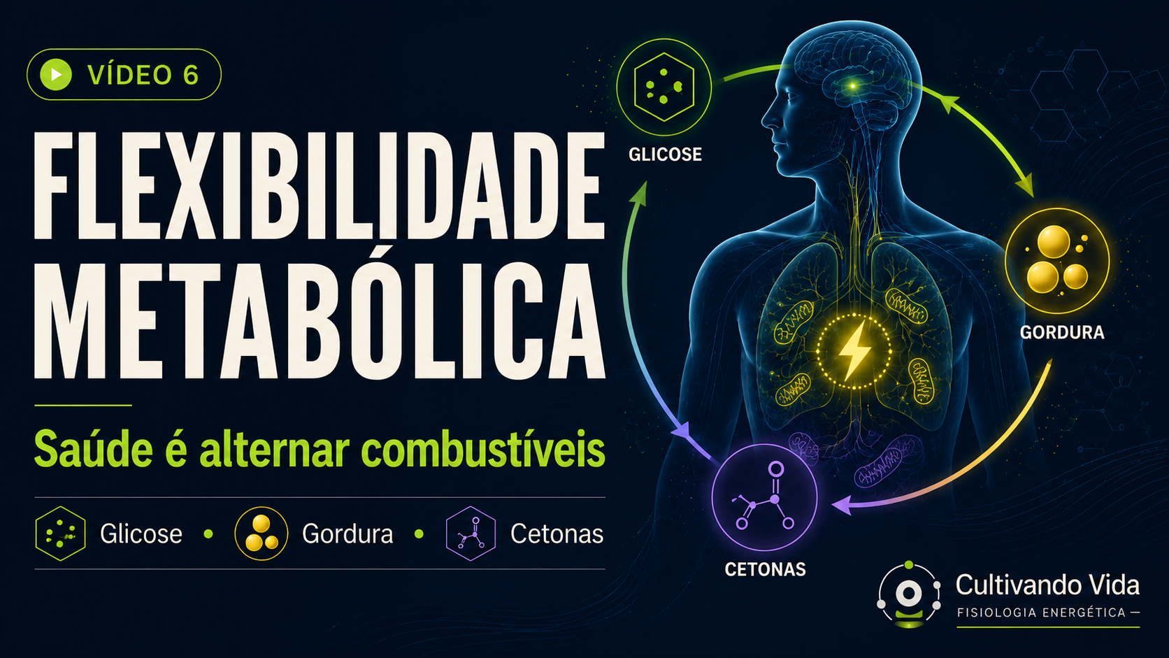 Flexibilidade metabólica: alternância entre glicose, gordura e corpos cetônicos